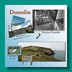 03 Dunedin